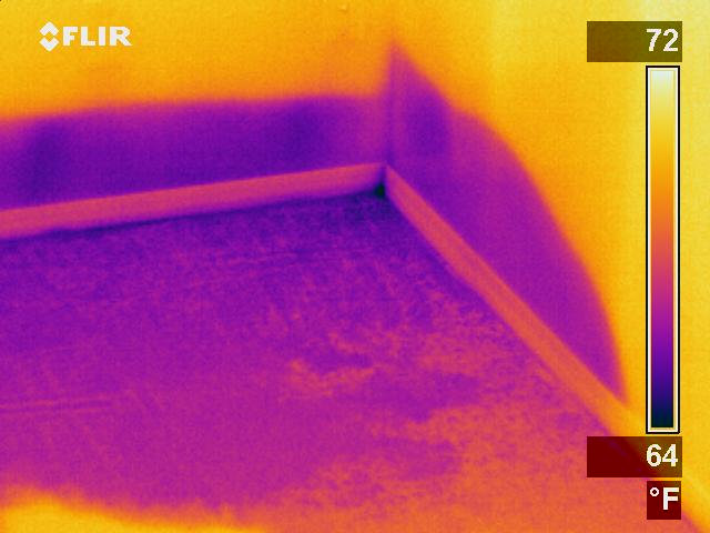 thermographic building inspection